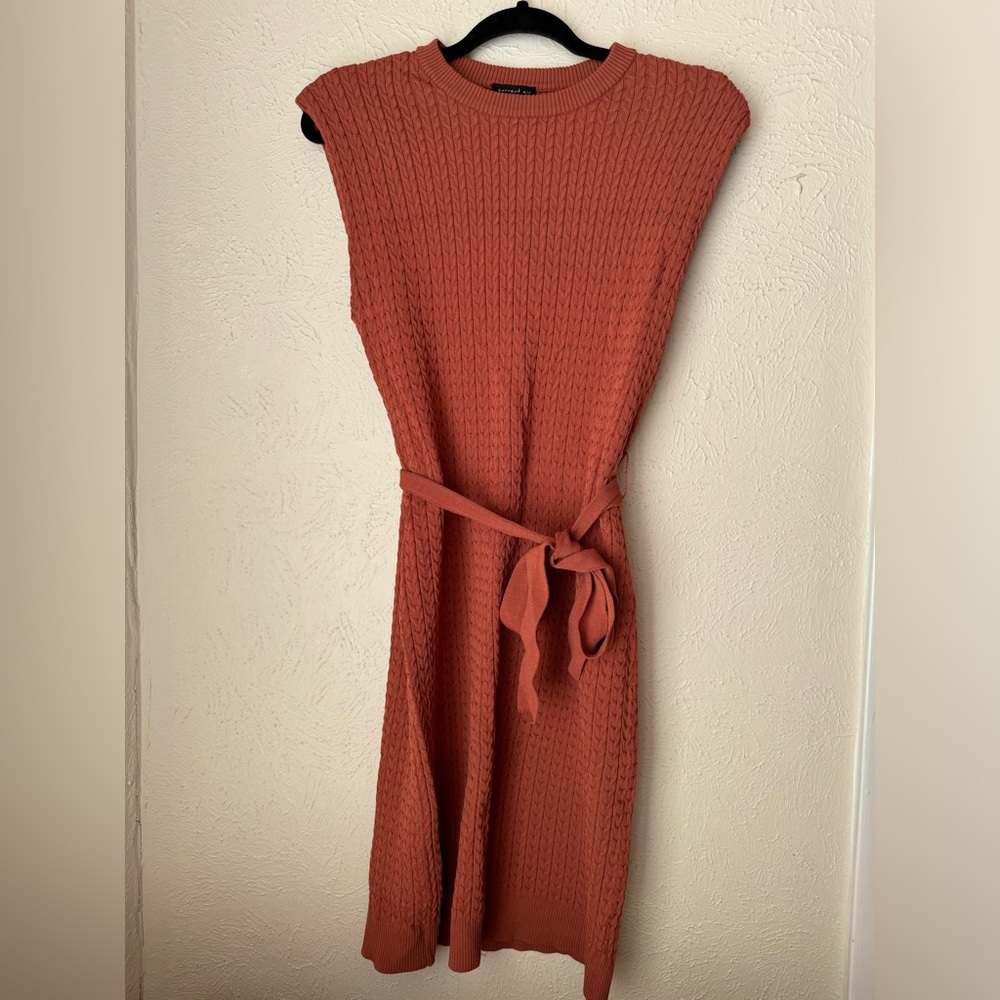 Current Air Terra Cotta Sleeveless Knit Dress